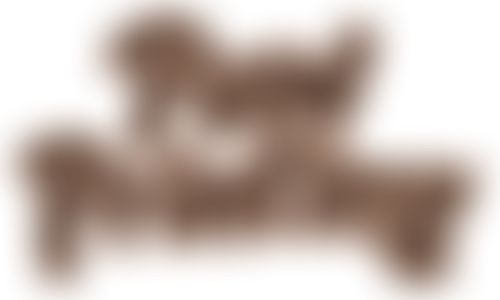 Blocked Variant 8
