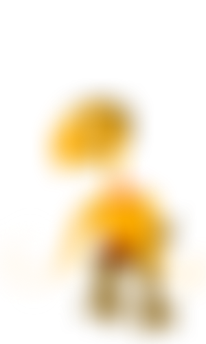 Blocked Variant 2
