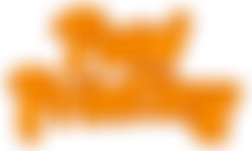 Blocked Variant 16