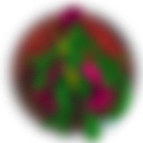 Blocked Variant 2