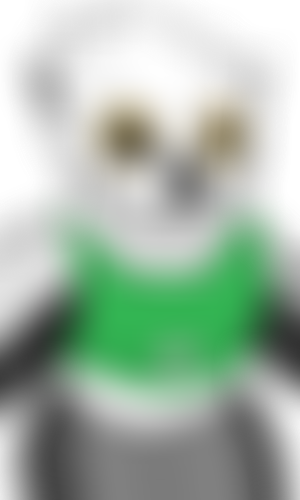 Blocked Variant 2