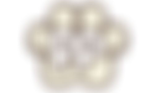 Blocked Variant 4