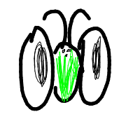 dykeboy's avatar