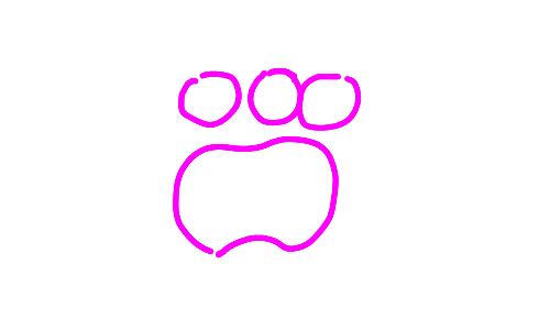 Pawprint by Anonymous